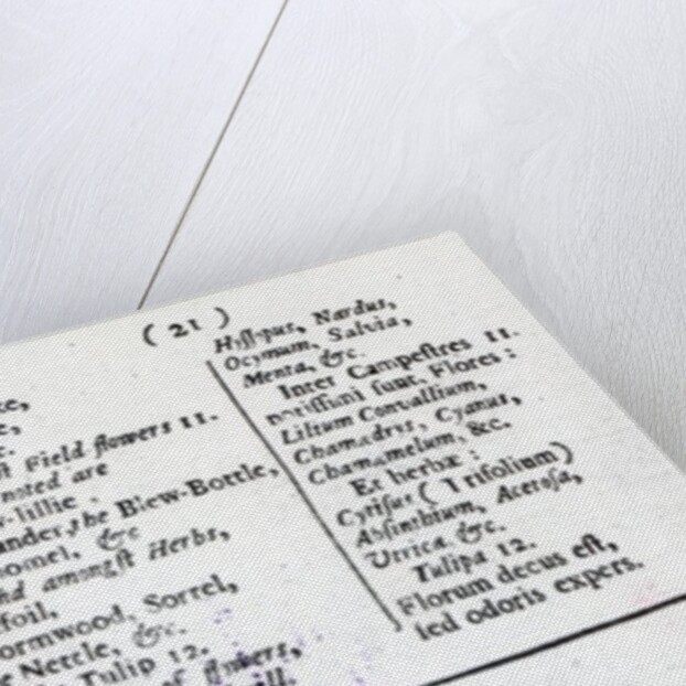 Plant Husbandry from 'Orbis sensualism pictus' by Johann Amos Comenius, published c.1689 by English School