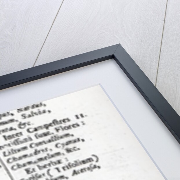 Plant Husbandry from 'Orbis sensualism pictus' by Johann Amos Comenius, published c.1689 by English School