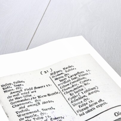 Plant Husbandry from 'Orbis sensualism pictus' by Johann Amos Comenius, published c.1689 by English School