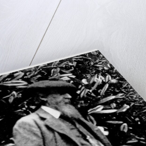 Leslie Stephen, 1900 by English Photographer