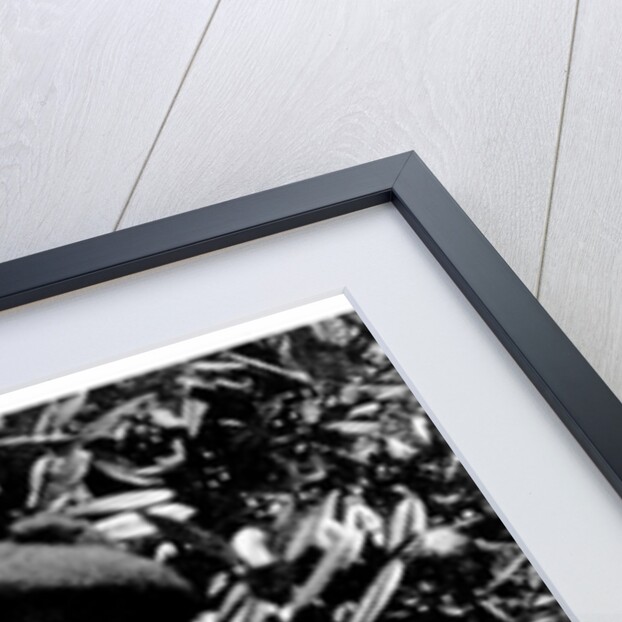 Leslie Stephen, 1900 by English Photographer