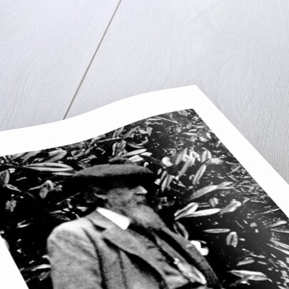 Leslie Stephen, 1900 by English Photographer