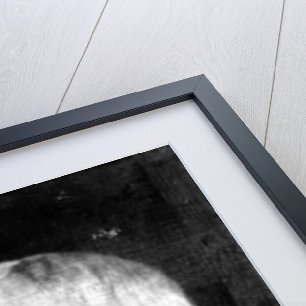 Lieutenant-General Sir Richard Strachey by English Photographer