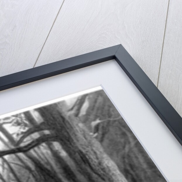 Geraint and Enid Ride Away by Gustave Dore