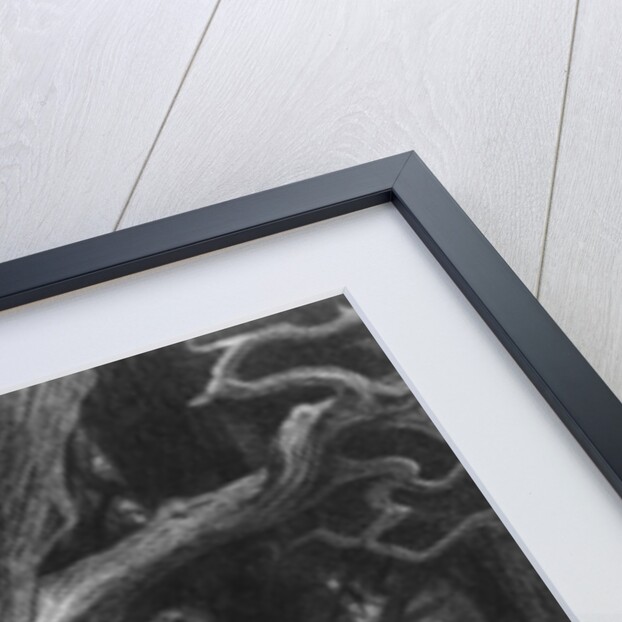 The Enchanter Merlin and the Fairy Vivien in the forest of Broceliande by Gustave (after) Dore