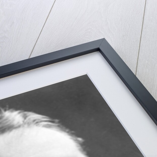 The Rt Hon Andrew Bonar Law M.P. by Anonymous