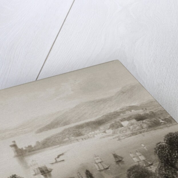 The Cork River from below Glanmire Road, County Cork, Ireland by William Henry Bartlett