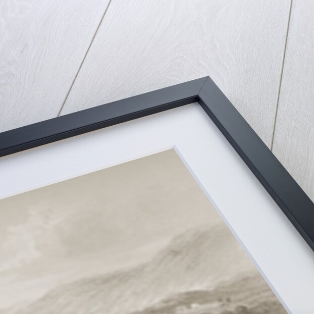 The Cork River from below Glanmire Road, County Cork, Ireland by William Henry Bartlett