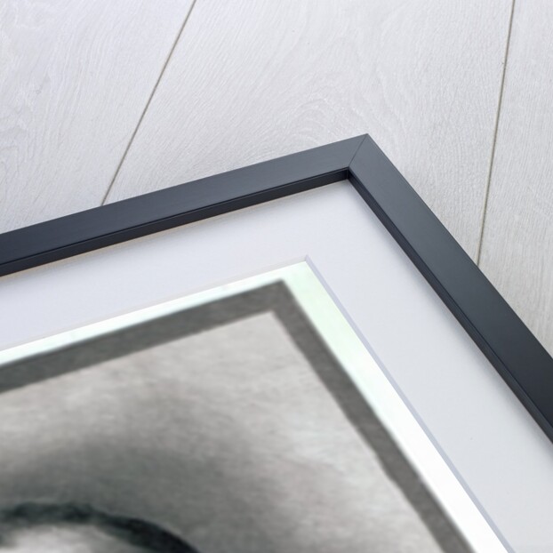 Thomas Hardy, 1892 by (after) English photographer