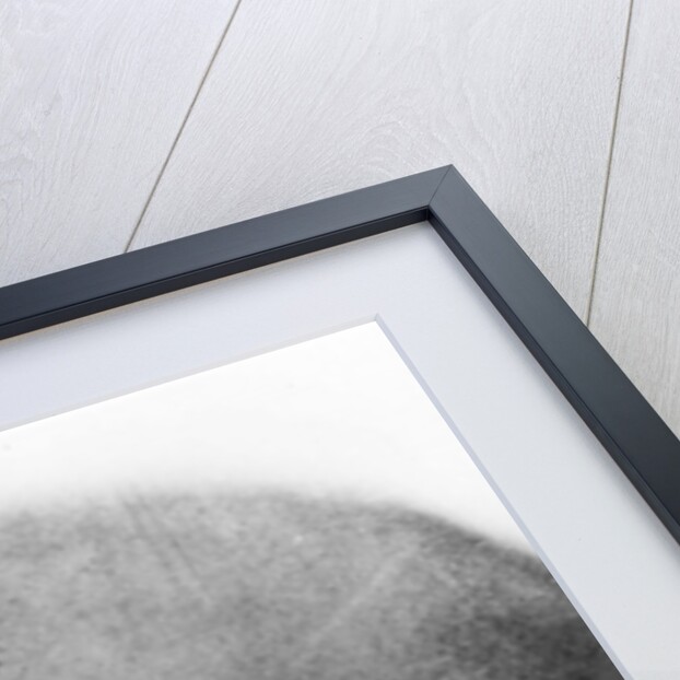 James Augustus Grant by English Photographer