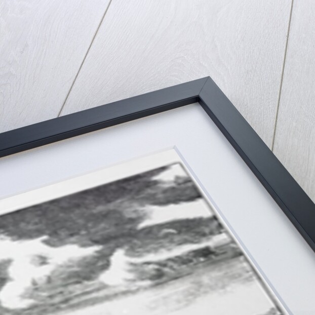 The Prospect of the Town of Glasgow from ye South by John Slezer