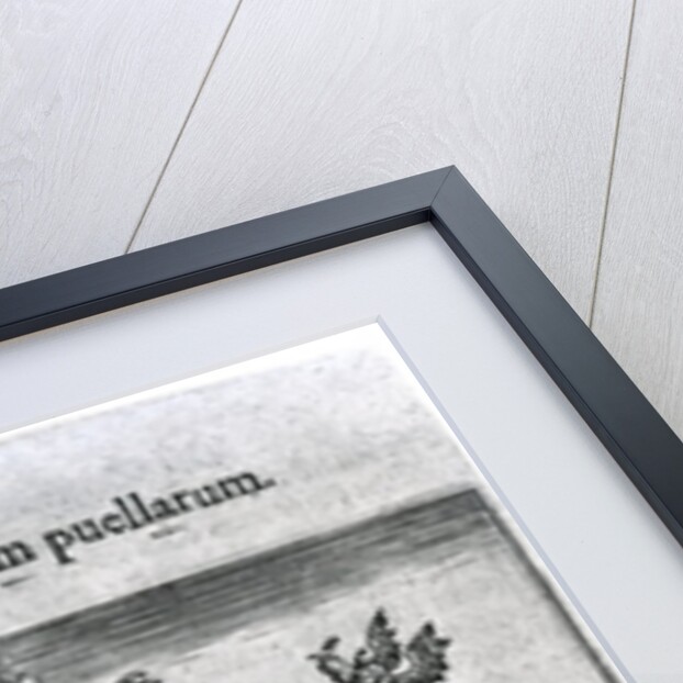 Columbarium puellarum from 'Proscenium vitae humanae Sive Emblematum secularium' by Theodore de Bry, 1627 by Theodor de Bry