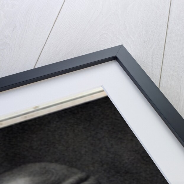 William Cavendish- Bentinck, 3rd Duke of Portland by English School