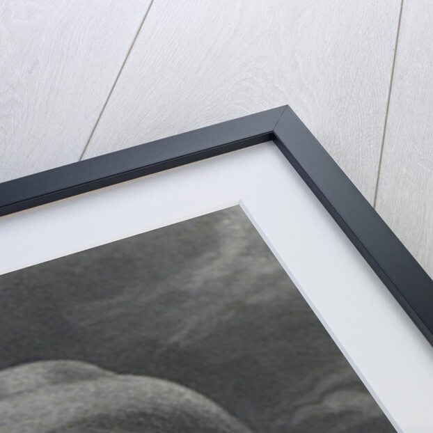 Jeremy Bentham from 'Gallery of Portraits', published in 1833 by English School