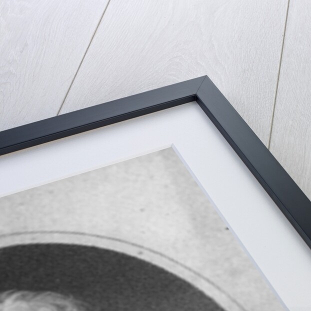 Portrait of Venanzio Rauzzini engraved by Samuel Freeman by English School