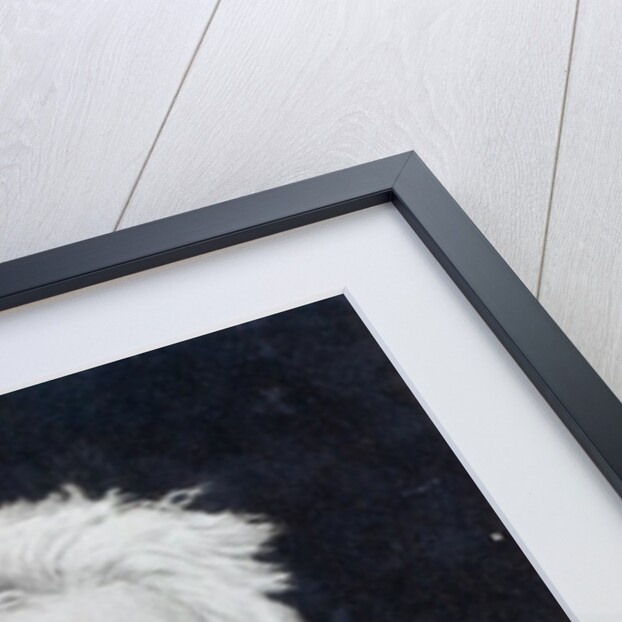 Jean-Baptiste Camille Corot by Etienne Gabriel Bocourt