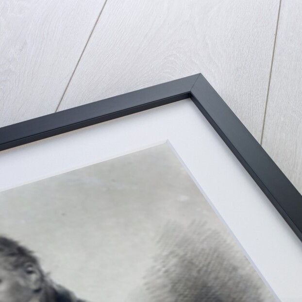 Sir Francis Bourgeois, after a drawing by W. Evans, engraved by J. Vendramini, 1811 by William (after) Beechey