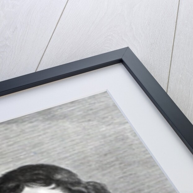 Johannes Hoornbeek by Frans Hals