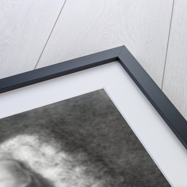 Francesco Scipione, marchese di Maffei, etched by Marco Pitteri by Francesco Lorenzi