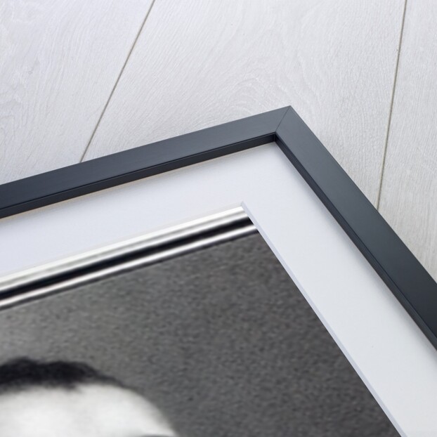 Anton Raphael Mengs, engraved by Nicolaus Mosman by Anton von (after) Maron