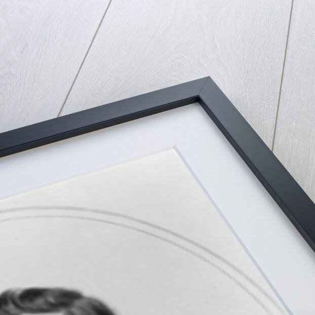 Charles Gavan Duffy, lithographed by H. O'Neill by (after) English photographer