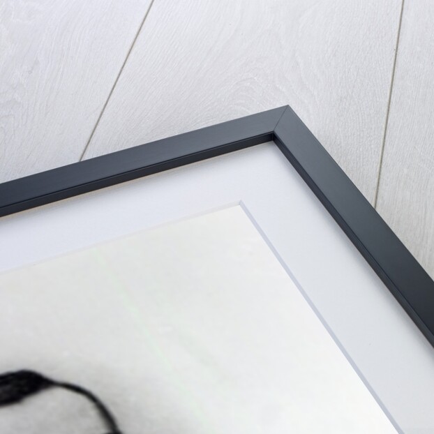 Francis Thompson, engraved by Emery Walker, 1894 by English School