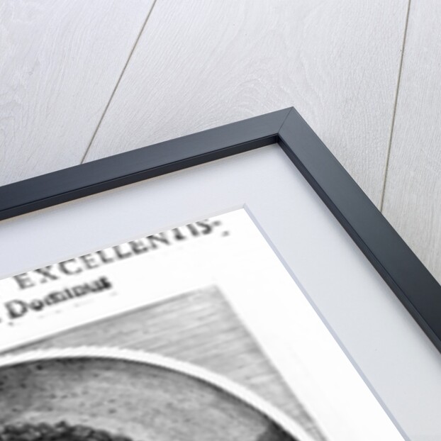 Prince Octavio Piccolomini, Duke of Amalfi, after a portrait of 1649 by Mattaus II Merian