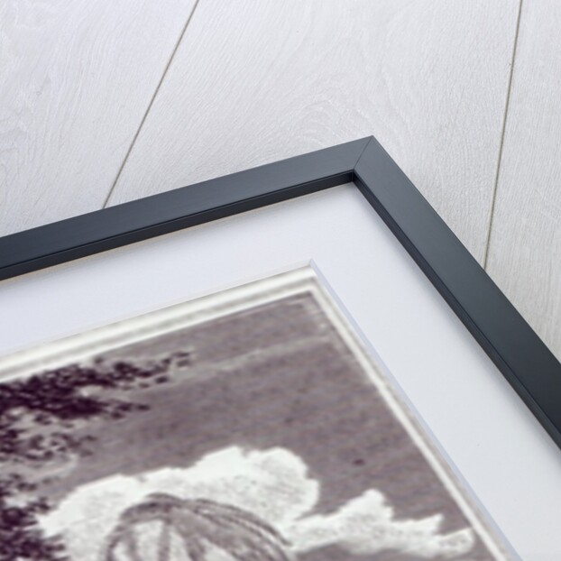 Mungo Park in Africa by English School