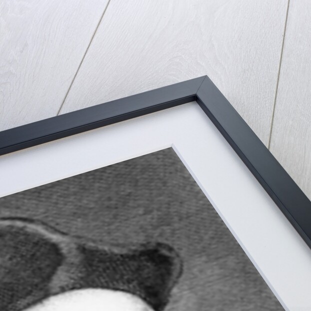 Francesco Berni by Antonio Baratti