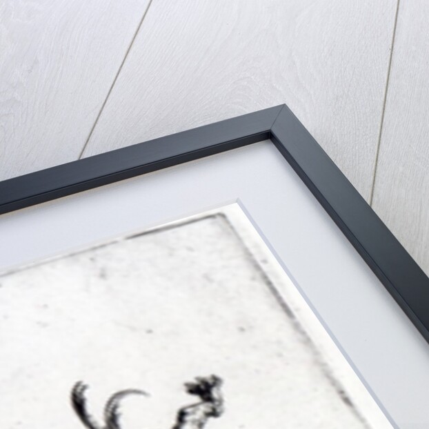 Balli de Sfessania, c.1622 by Jacques Callot