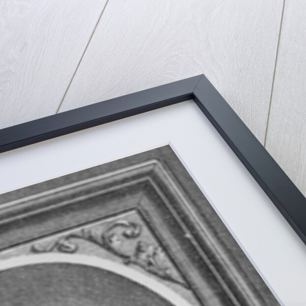 Carolus Clusius by Flemish School