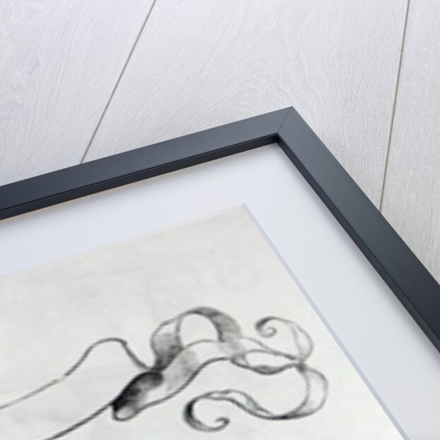 Scene from Maximilian's Triumphal Procession, c.1516-18 by Hans Burgkmair