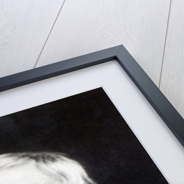 Alfred Krupp by German Photographer