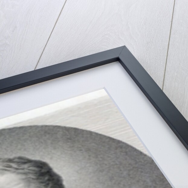 Portrait of Charles of France, Count of Artois, future Charles X King of France and Navarre by Alexandre Jean Noel