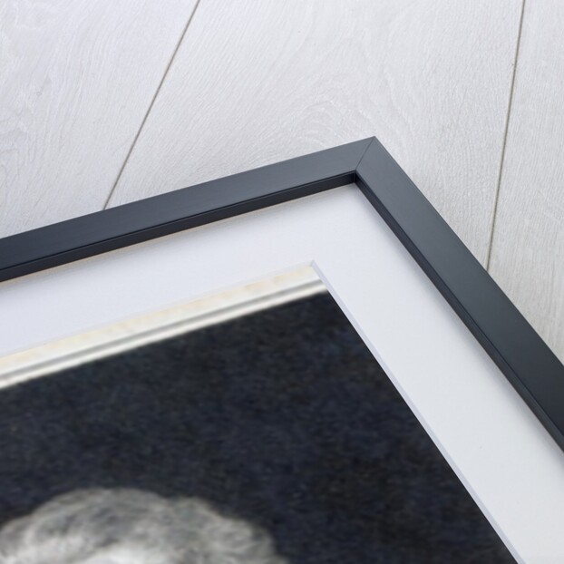 Edward Jerningham, 1794 by Martin Archer Shee