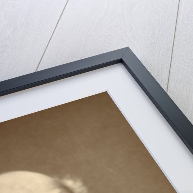 Sir James Ramsden by English Photographer