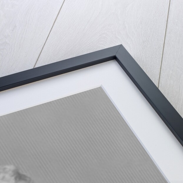 Sir William Shee engraved by D.J. Pound from a photograph by John Jabez Edwin Paisley Mayall