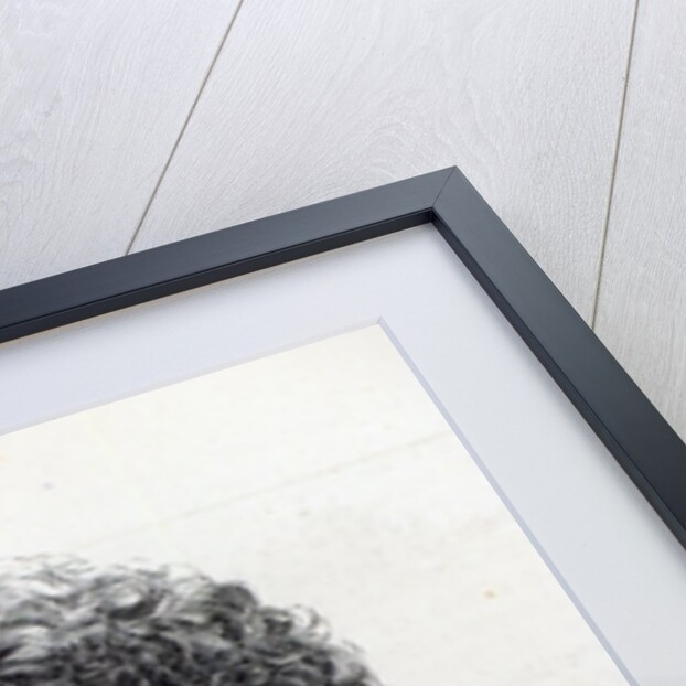 Miss Charlotte Robinson, Home Art Decorator to Her Majesty, 1887 by English School