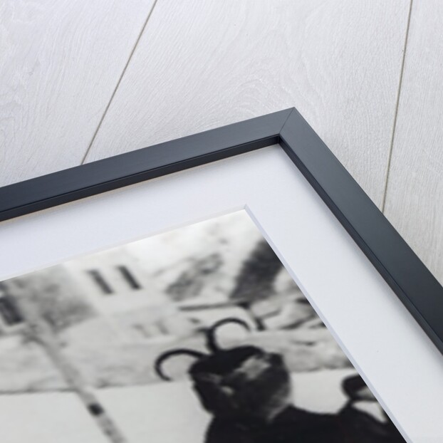 Archduke Franz Ferdinand of Austria with one of his children by Photographer Austrian