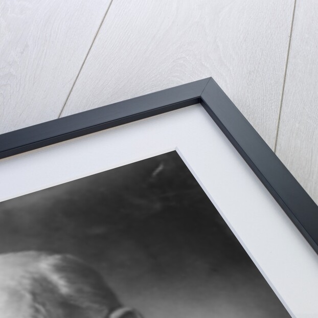 Emperor Franz Joseph I by Photographer Austrian