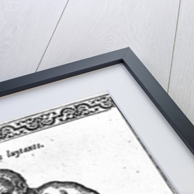 Turkish Wrestlers by French School