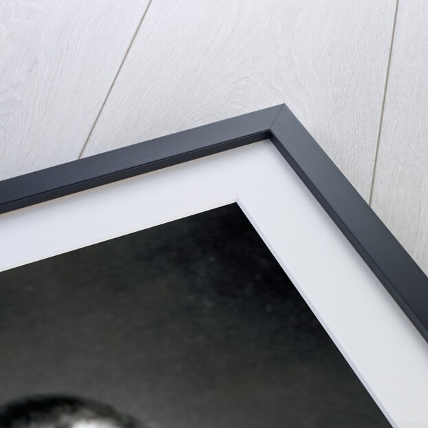 Richard Humphries, engraved by John Young, 1788 by (after) English School