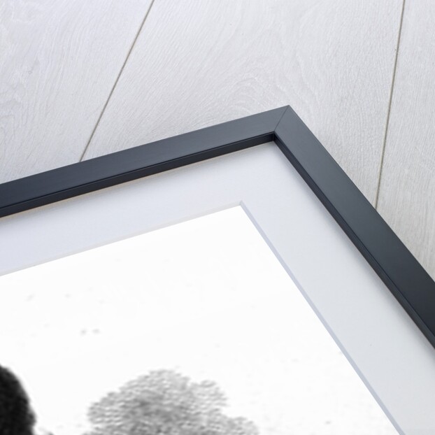 Daniel Mendoza by English School