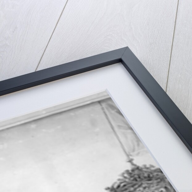 The Royal Yacht 'Mary' by Willem van de the Younger Velde