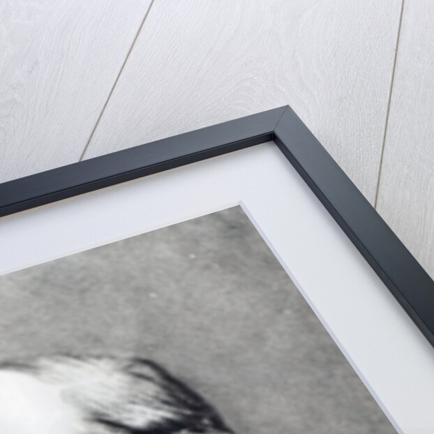 John William Strutt, 3rd Baron Rayleigh by English Photographer