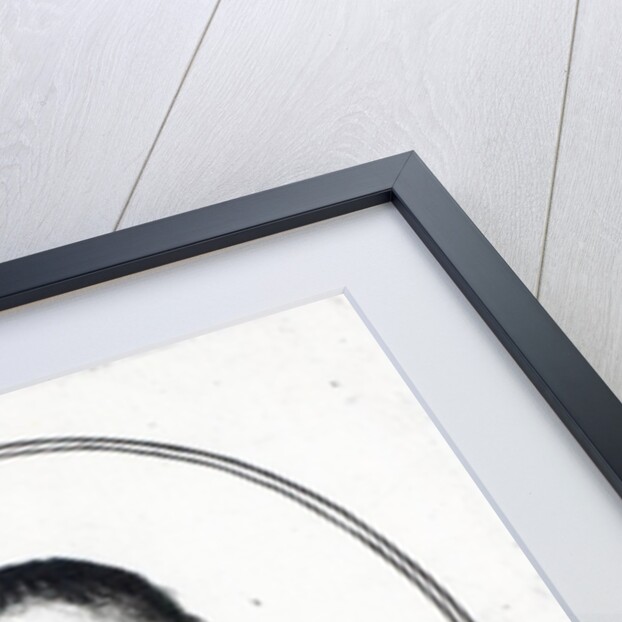 Henry Grey, 1st Earl Stamford by Wenceslaus Hollar