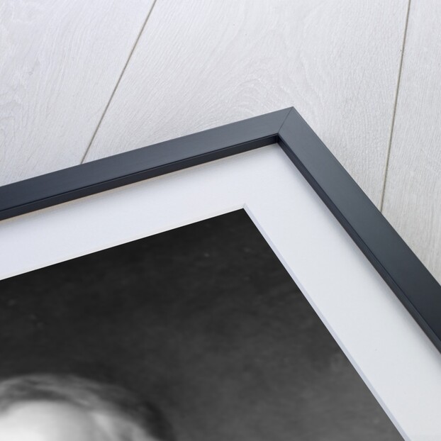 Salomon Mayer von Rothschild by English School