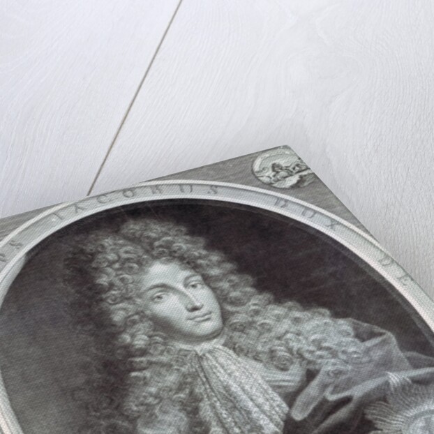 James Fitzjames, Duke of Berwick engraved by Pierre Drevet, 1693 by Benedetto Gennari