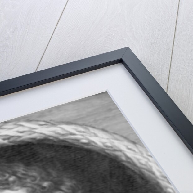 Alexander Browne by Jacob Huysmans