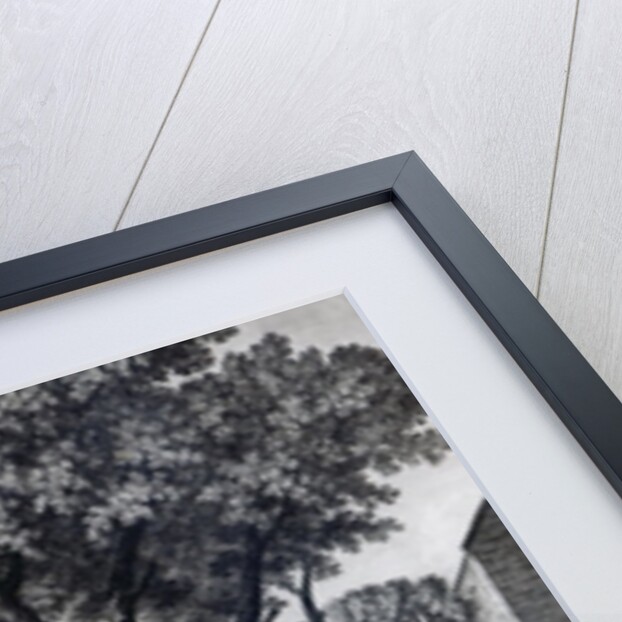 Enthusiasm Displayed, engraved by Robert Pranker, 1765 by John (after) Griffiths